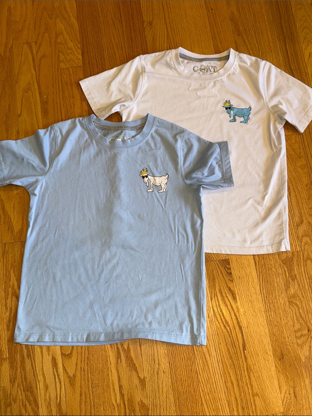 🐐 GOAT USA Kids Short Sleeve Tee - White & Light Blue youth medium